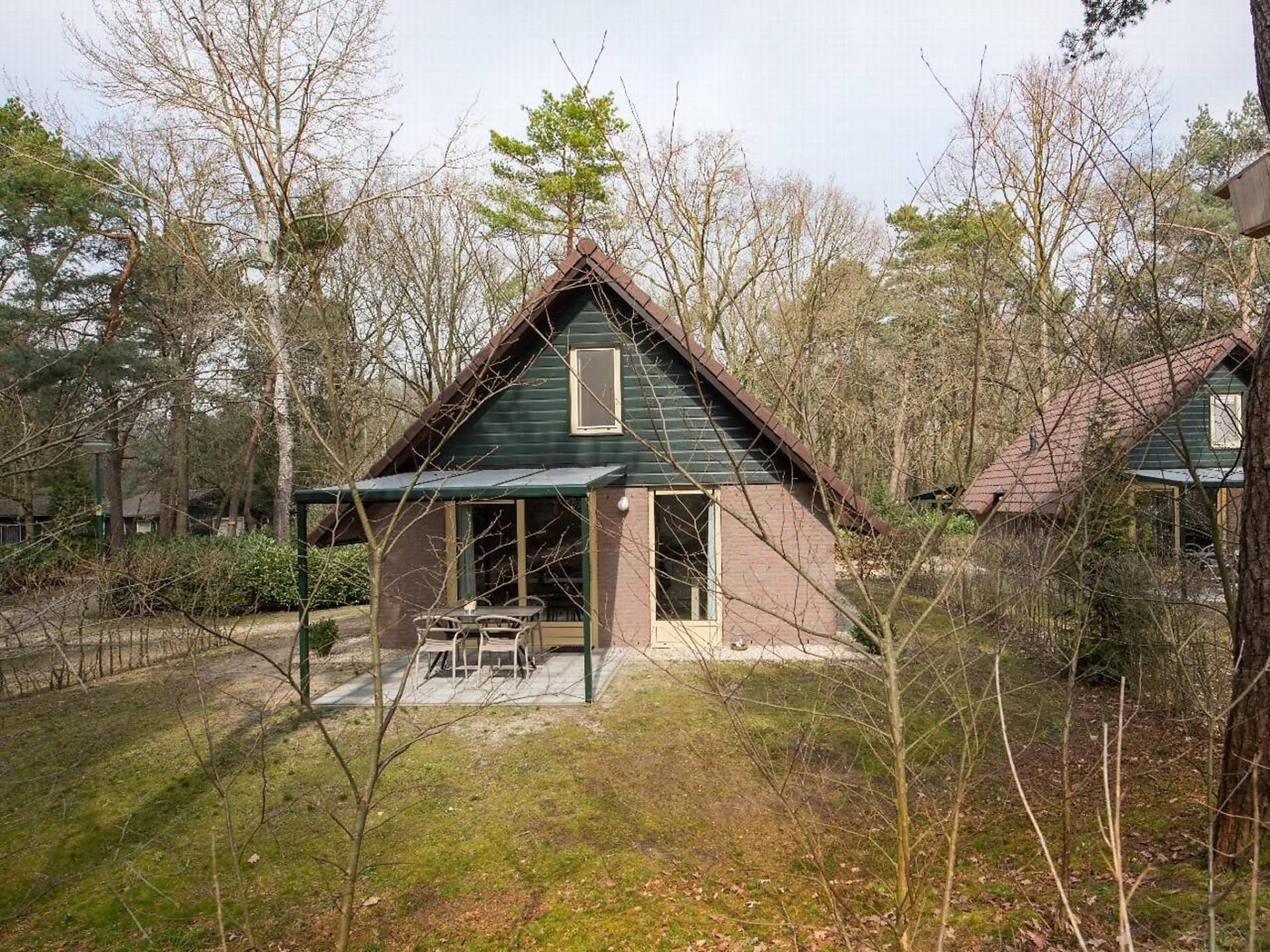 Vrijstaande lodge in het groen van Heesch | 3 slaapkamers & huisdieren welkom - foto 6