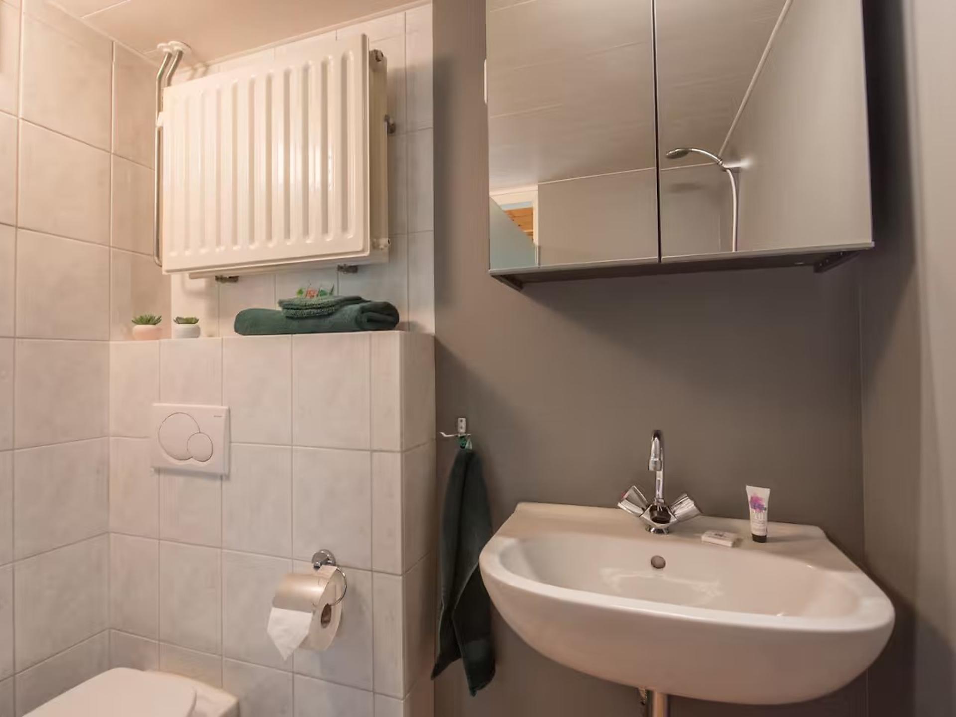 Romantisch vakantiehuis met slaapvide in het groene hart van Brabant - foto 19