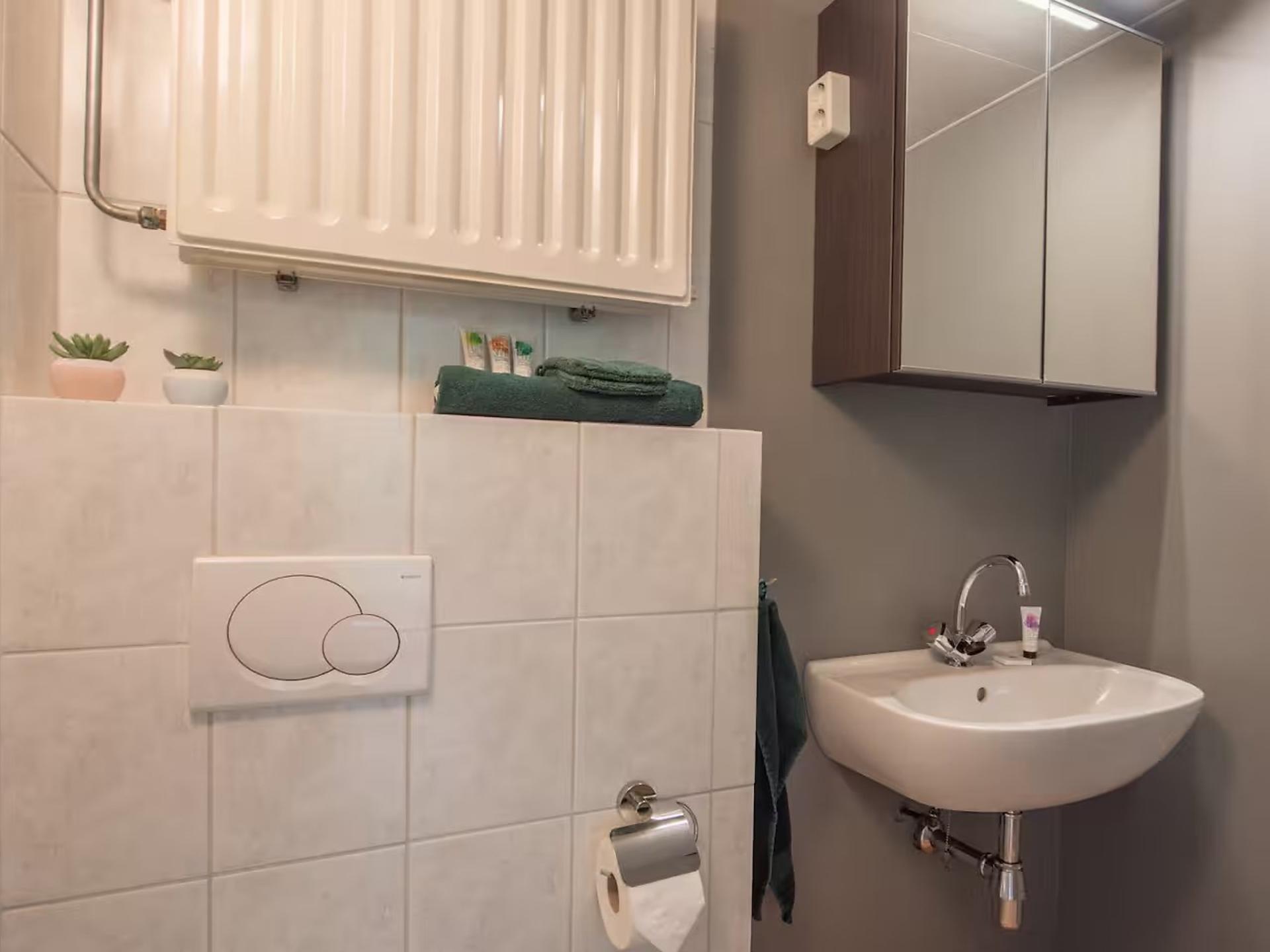 Romantisch vakantiehuis met slaapvide in het groene hart van Brabant - foto 18