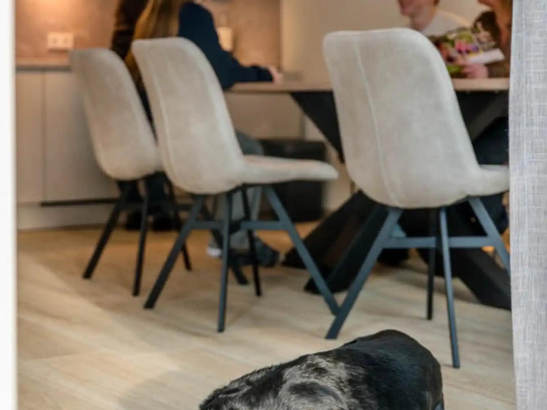 Groene bosvilla voor 6 personen in Heesch, op 400m van het centrum - foto 9