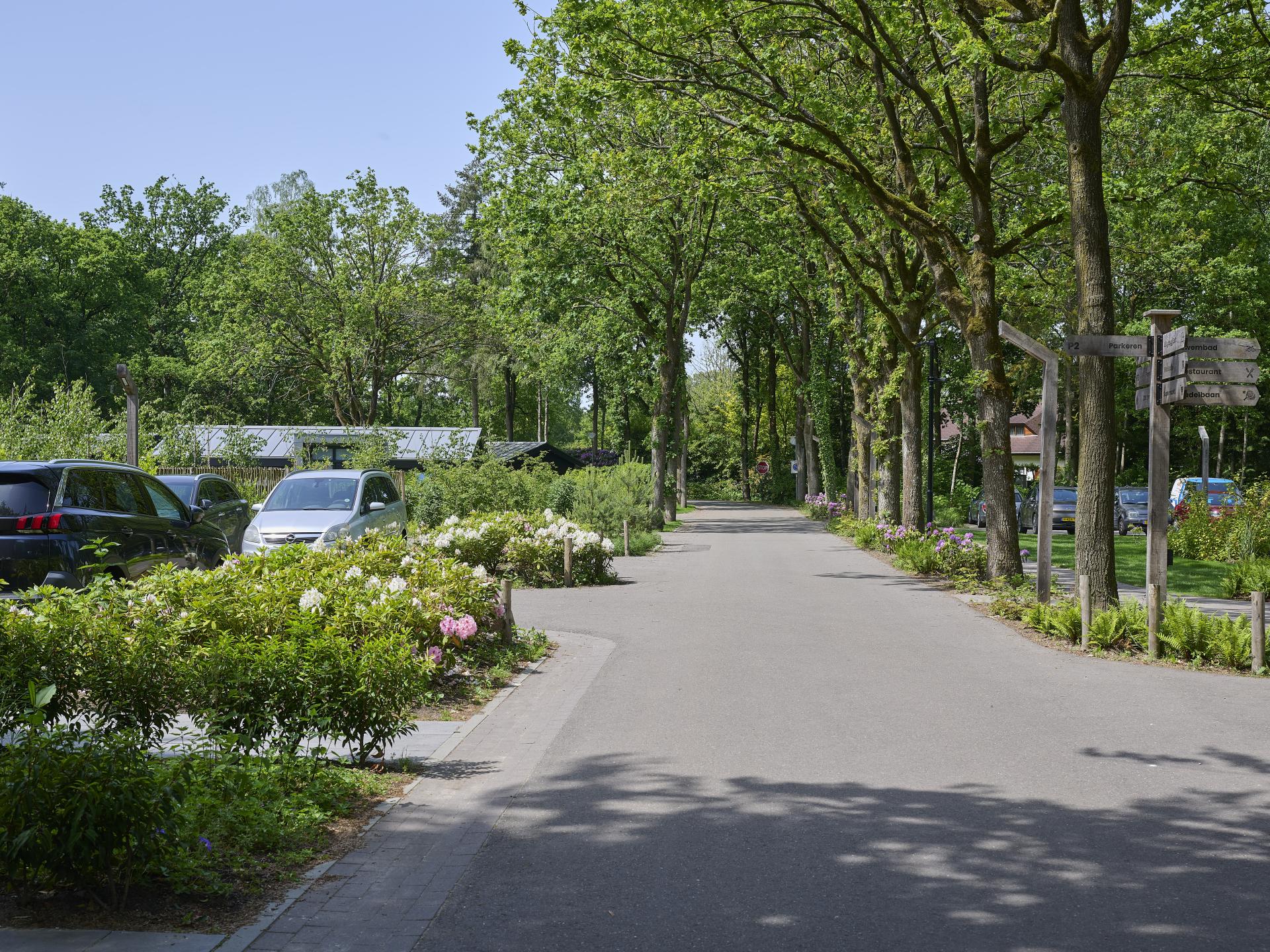 Vrijstaande bungalow op Resort de Brabantse Kempen met zwembad en bosrijke omgeving - foto 27