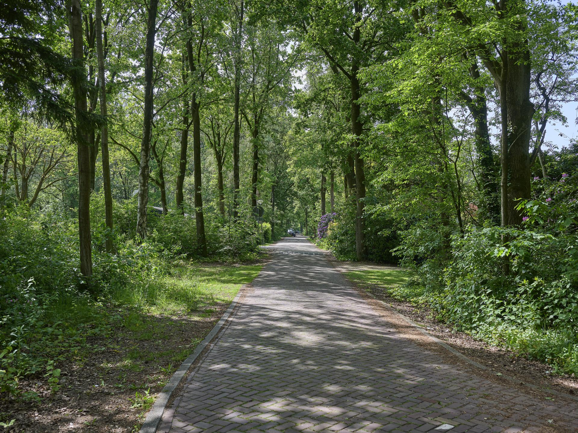 Vrijstaande bungalow op Resort de Brabantse Kempen met zwembad en bosrijke omgeving - foto 37