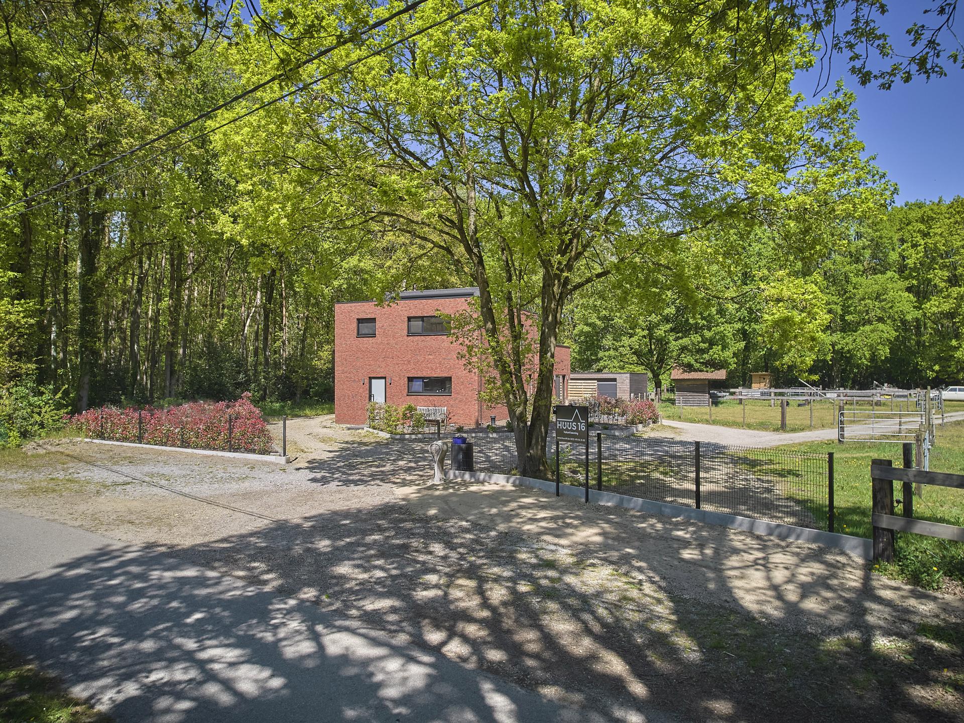 Huus 16: Sfeervol vakantiehuis tussen paardenweides en Nationaal Park Hoge Kempen - foto 47