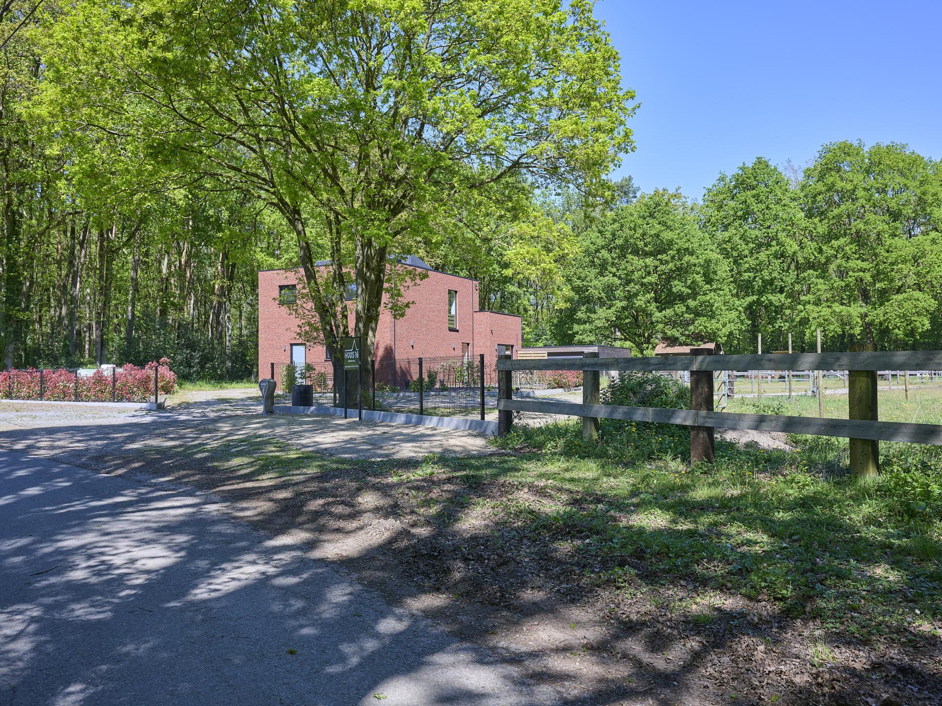 Huus 16: Sfeervol vakantiehuis tussen paardenweides en Nationaal Park Hoge Kempen - foto 41