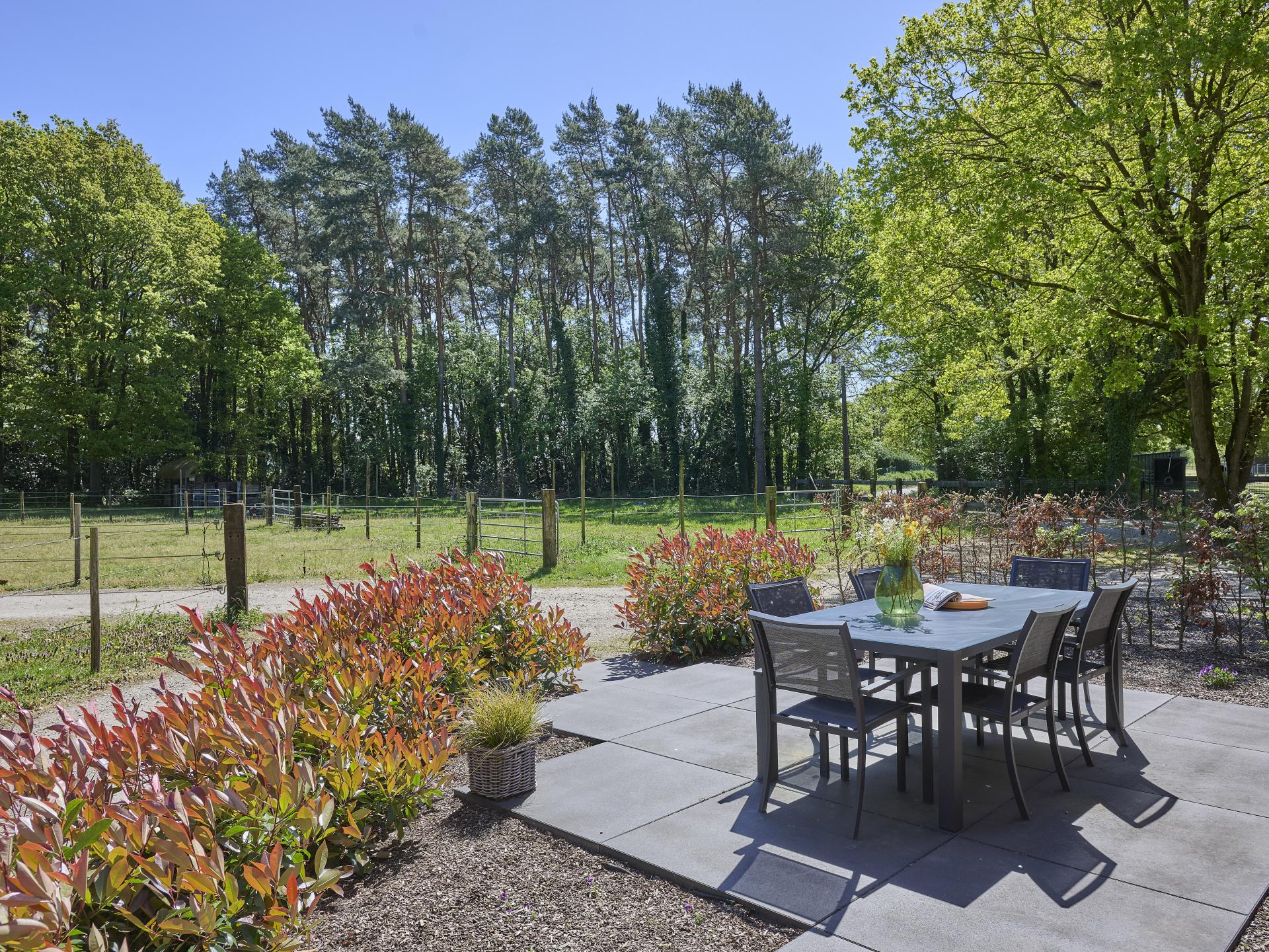 Huus 16: Sfeervol vakantiehuis tussen paardenweides en Nationaal Park Hoge Kempen - foto 10