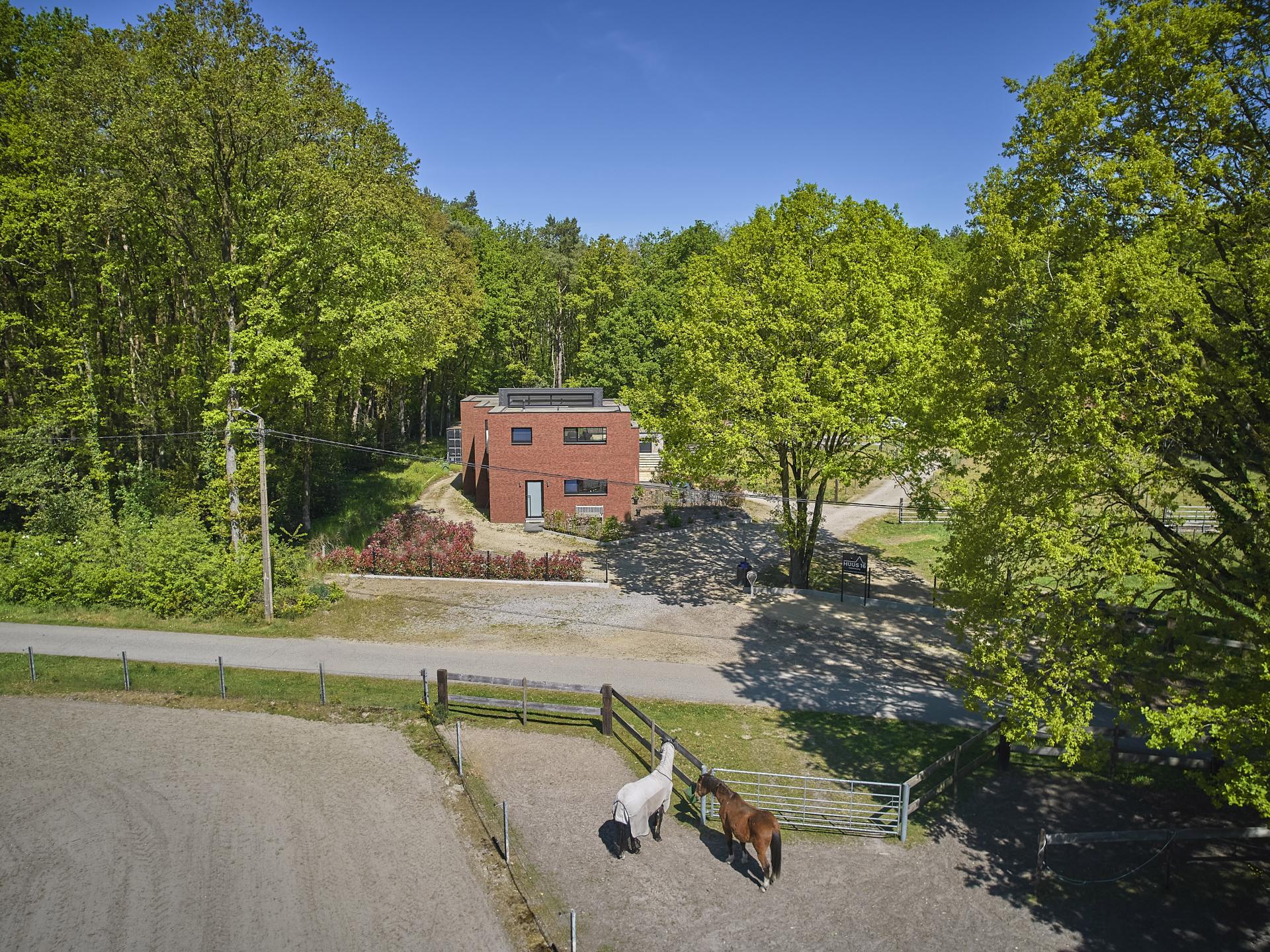 Huus 16: Sfeervol vakantiehuis tussen paardenweides en Nationaal Park Hoge Kempen - foto 49