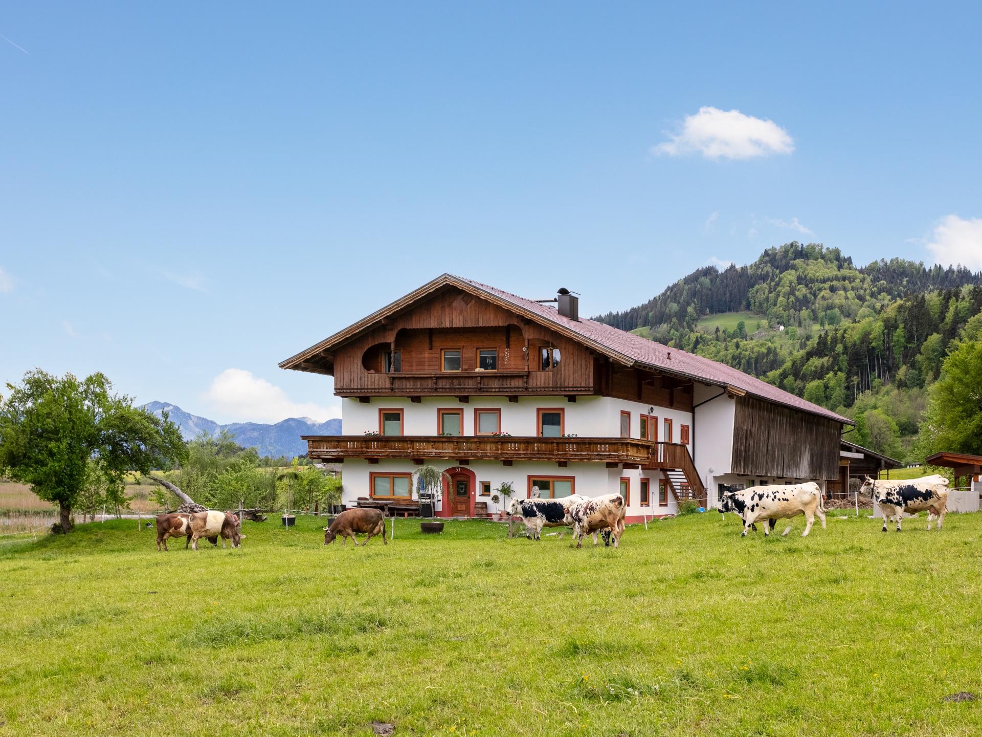 Ruim appartement voor 12 op een boerderij in natuurgebied Schwemm, Walchsee - foto 15
