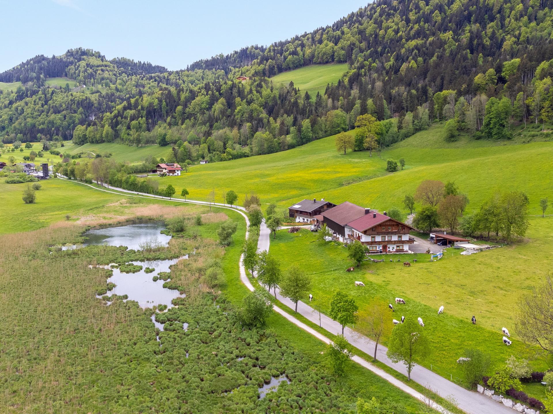 Ruim appartement voor 12 op een boerderij in natuurgebied Schwemm, Walchsee - foto 1