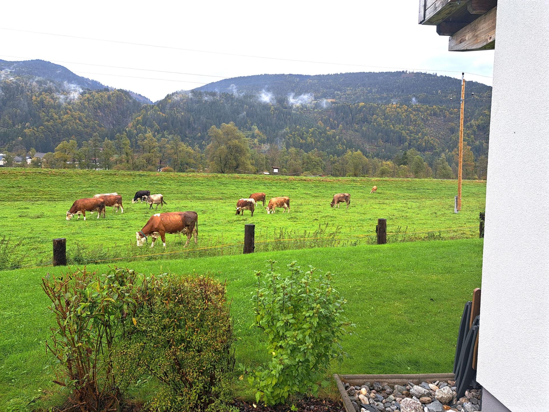 Chalet met Sunshower en panoramisch uitzicht op bergen en de Gail in Rattendorf - foto 21