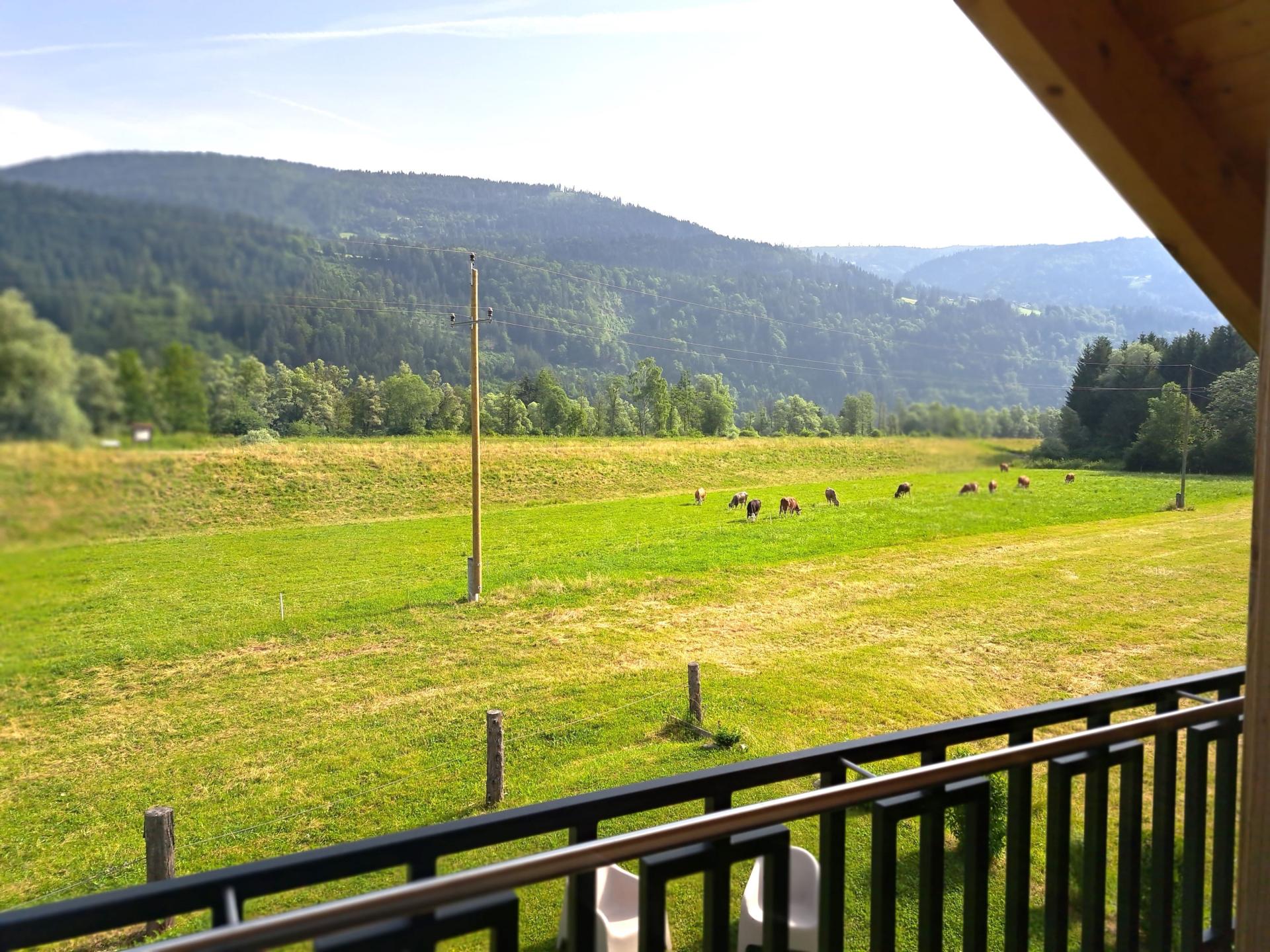 Chalet met Sunshower en panoramisch uitzicht op bergen en de Gail in Rattendorf - foto 15
