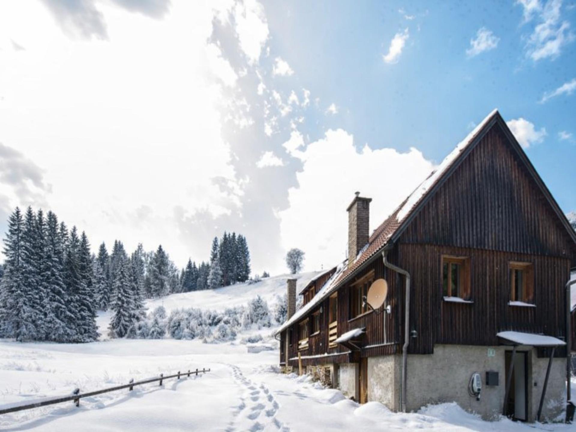 Authentiek Alpenhuis met sauna aan de bosrand bij Sankt Lambrecht - foto 29