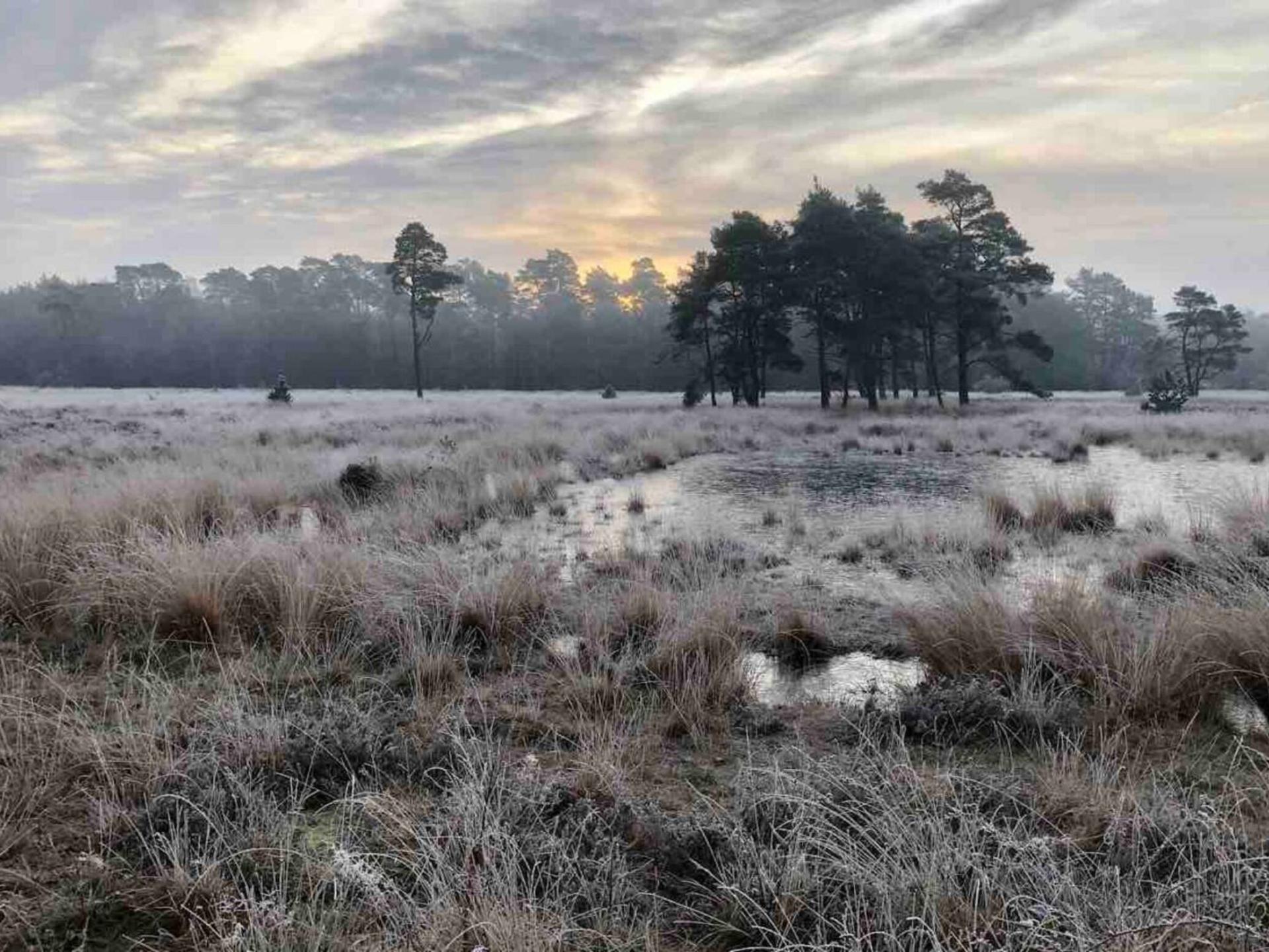 Modern vakantiehuis in bosrijk Soesterberg, ideaal voor natuurliefhebbers - foto 39