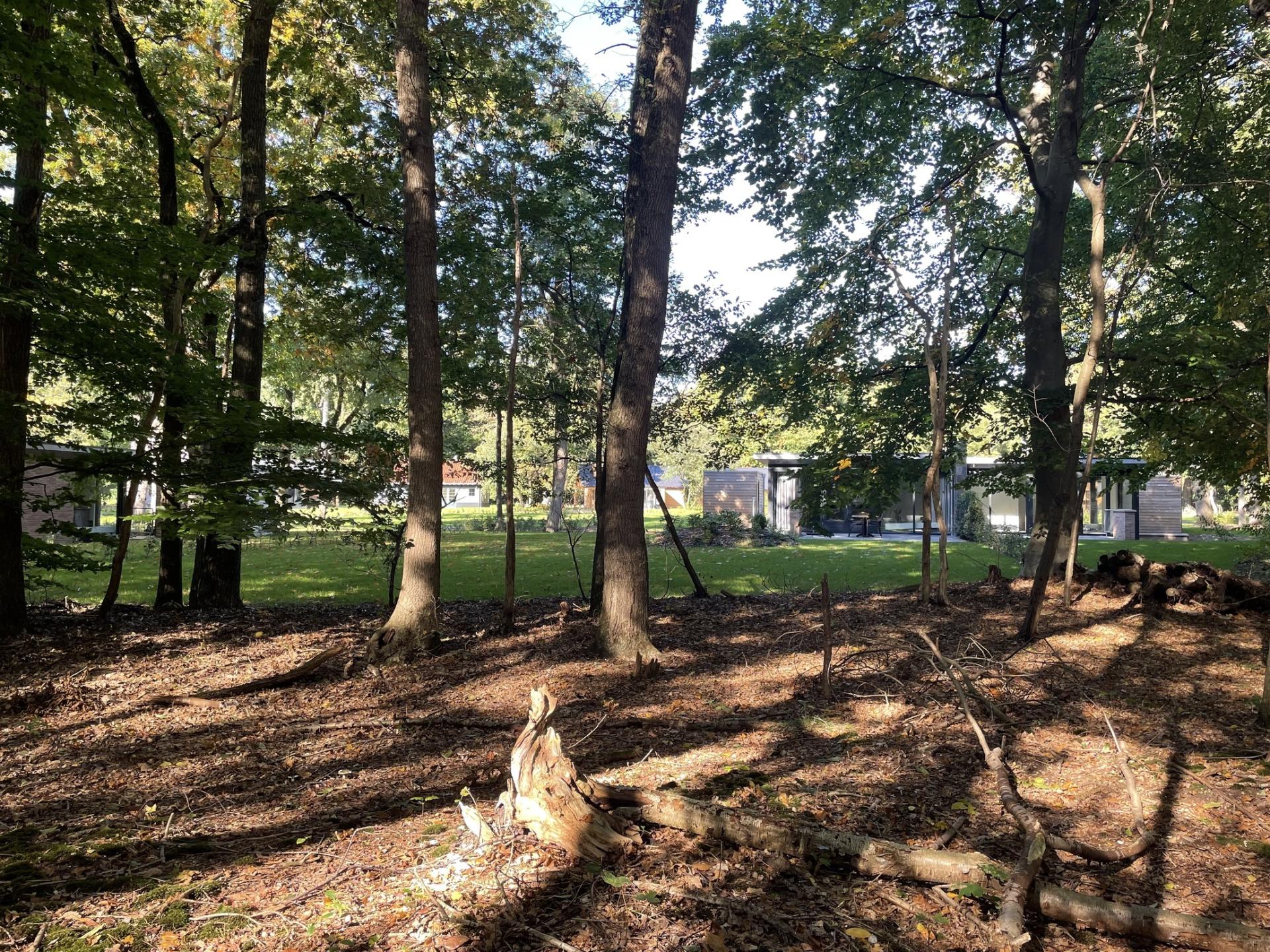 Modern vakantiehuis in bosrijk Soesterberg, ideaal voor natuurliefhebbers - foto 28