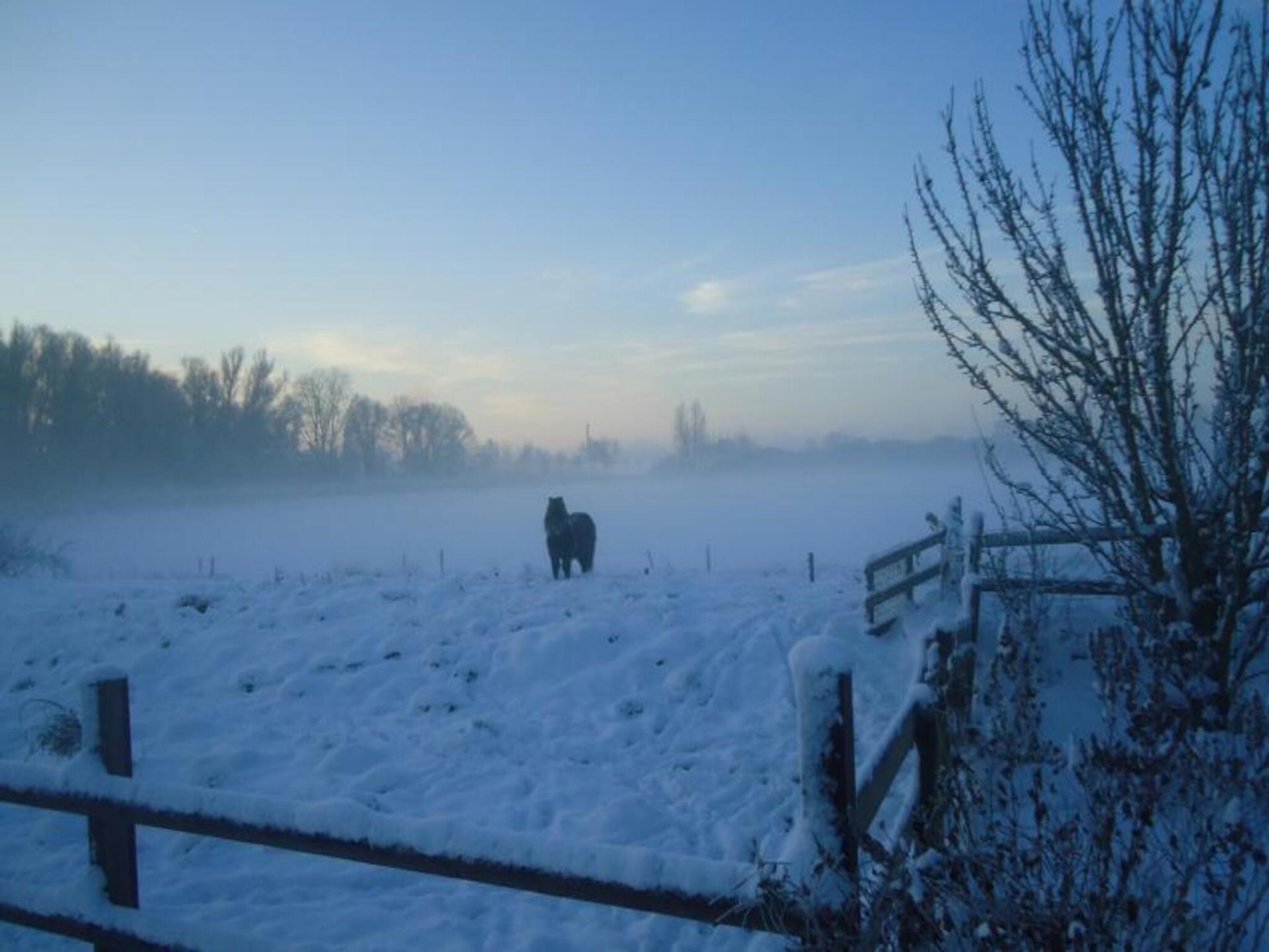 Romantisch vakantiehuis met omheinde tuin in het Gelderse platteland bij Spijk - foto 20
