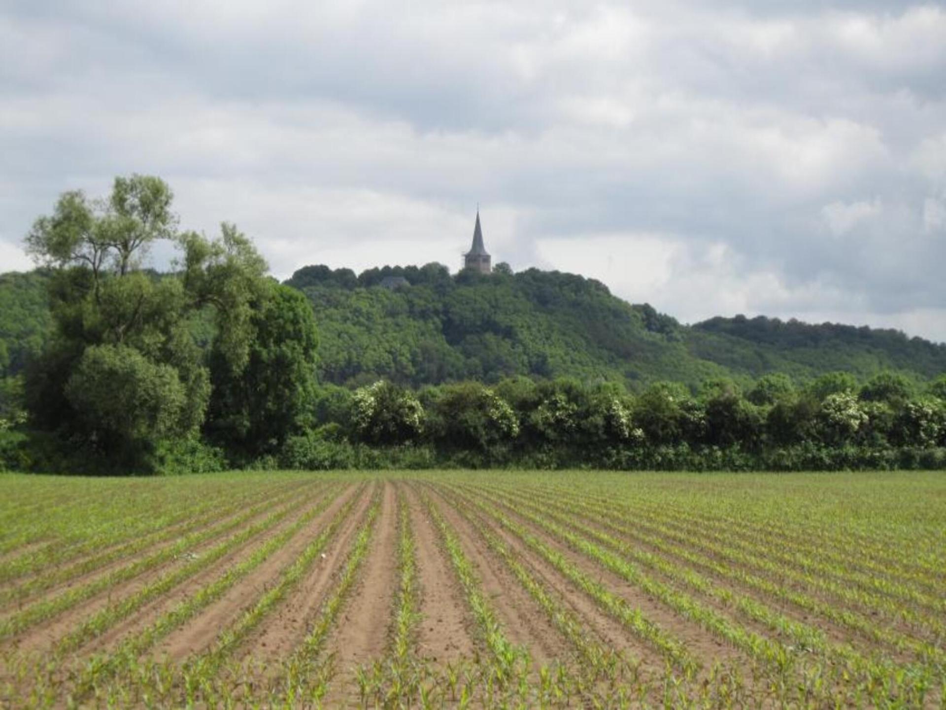 Romantisch vakantiehuis met omheinde tuin in het Gelderse platteland bij Spijk - foto 11