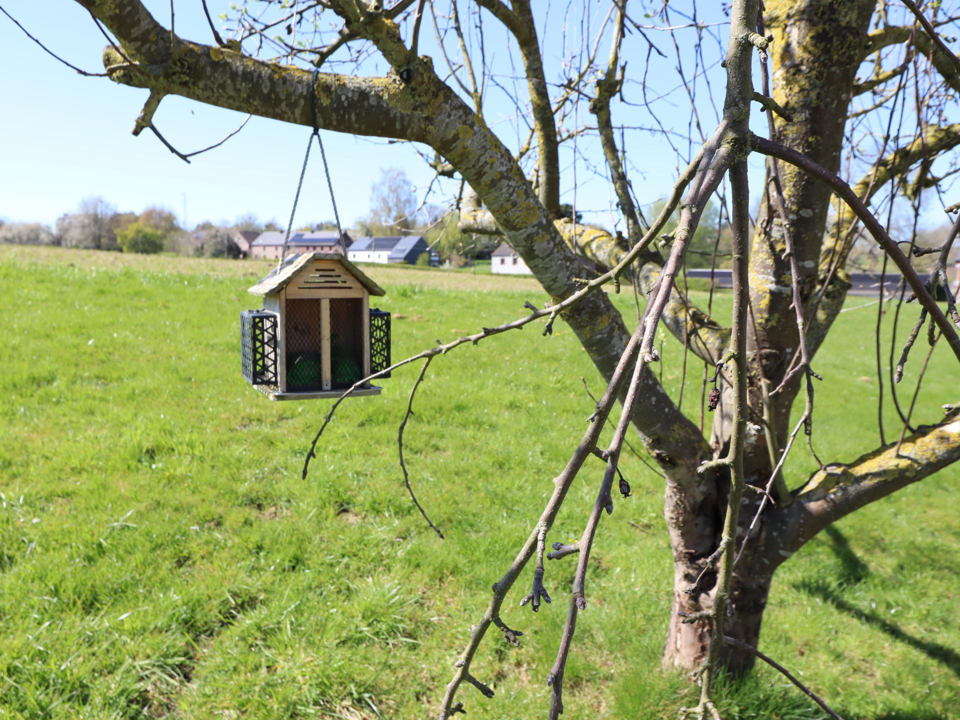 Verblijf in een sfeervolle torenkamer op een werkende boerderij in Couthuin - foto 29
