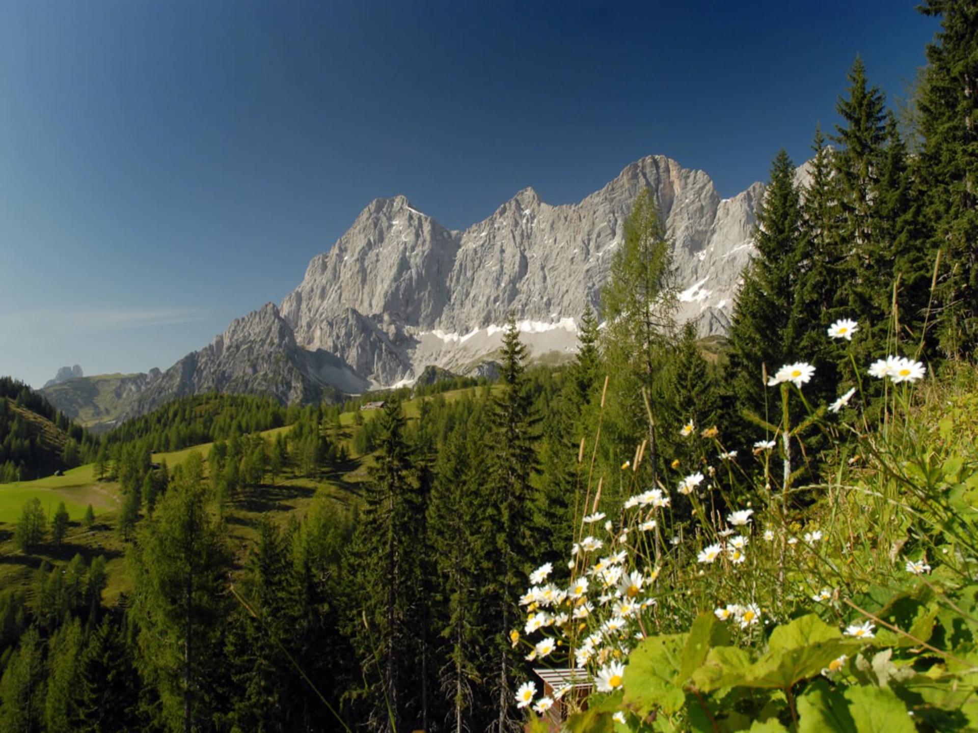 Luxe vrijstaande lodge met sauna nabij Schladming-Dachstein, 12 personen - foto 18