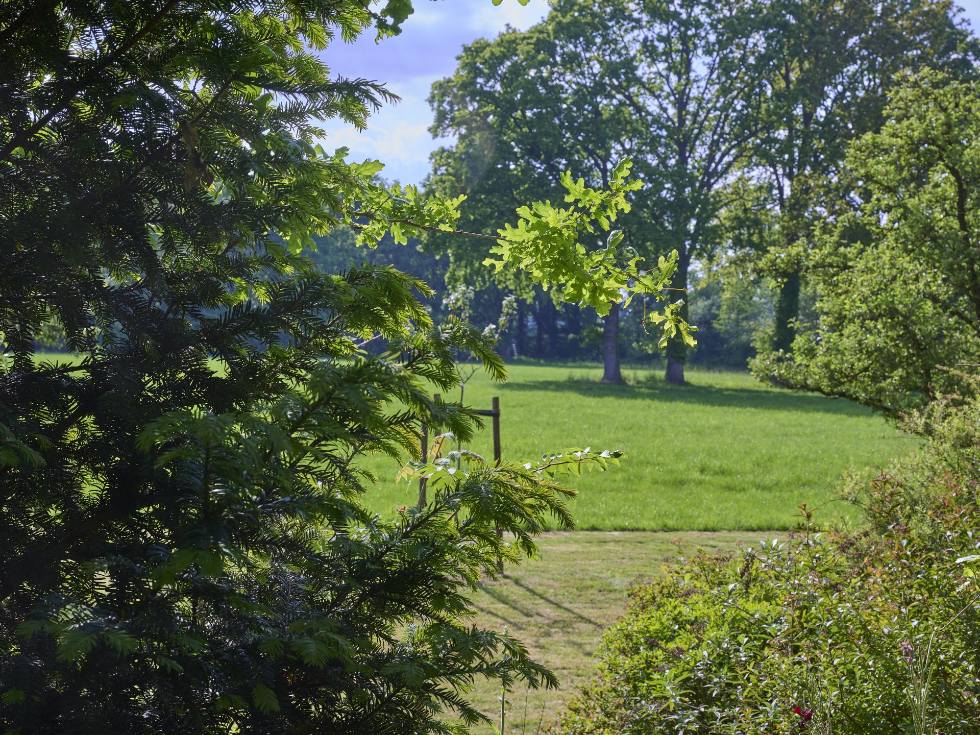 Vrijstaand vakantiehuis in Aalten met weids uitzicht en royale tuin - foto 27