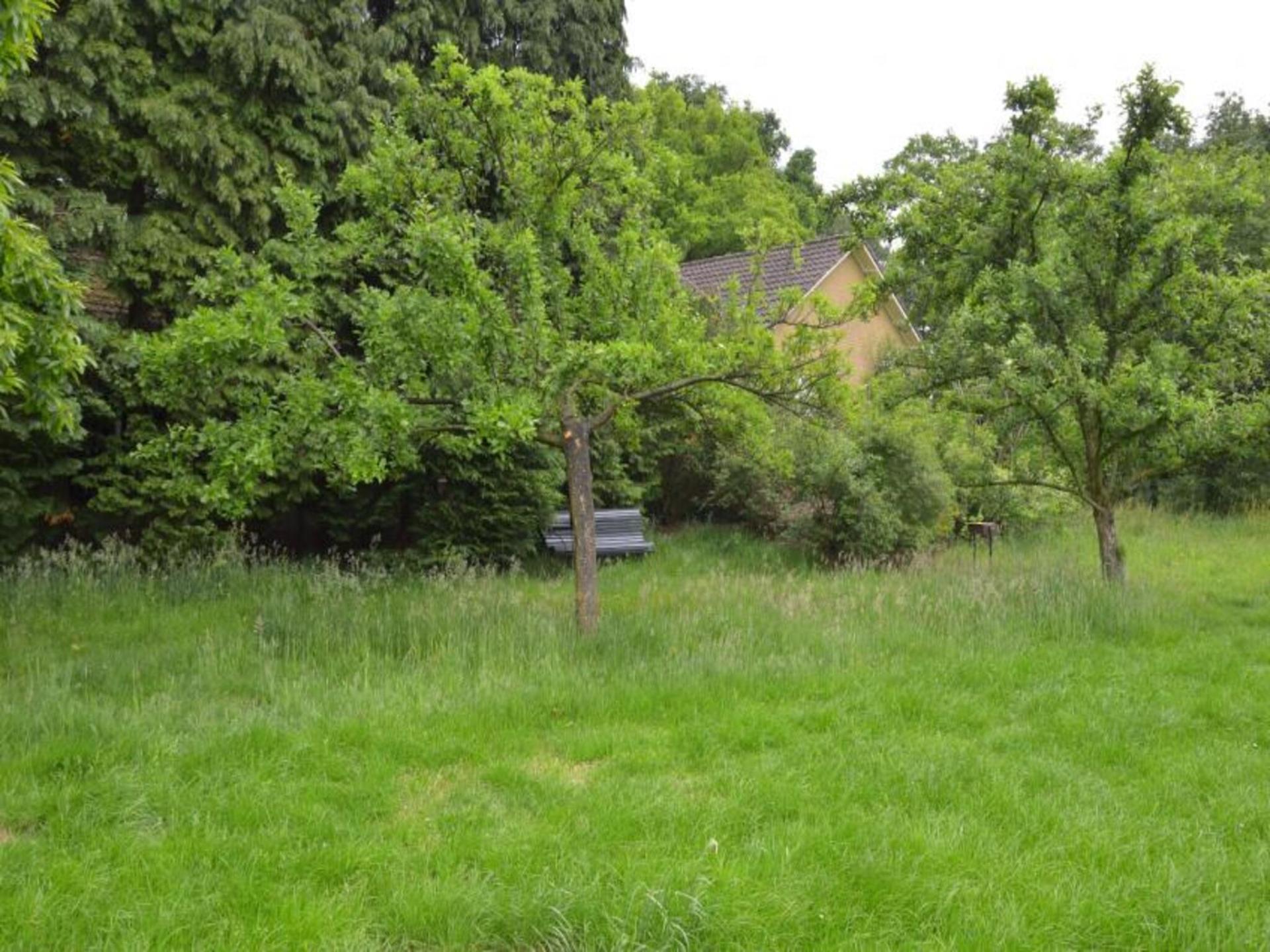 Landelijk vakantiehuis met weids uitzicht in de Achterhoek - foto 15