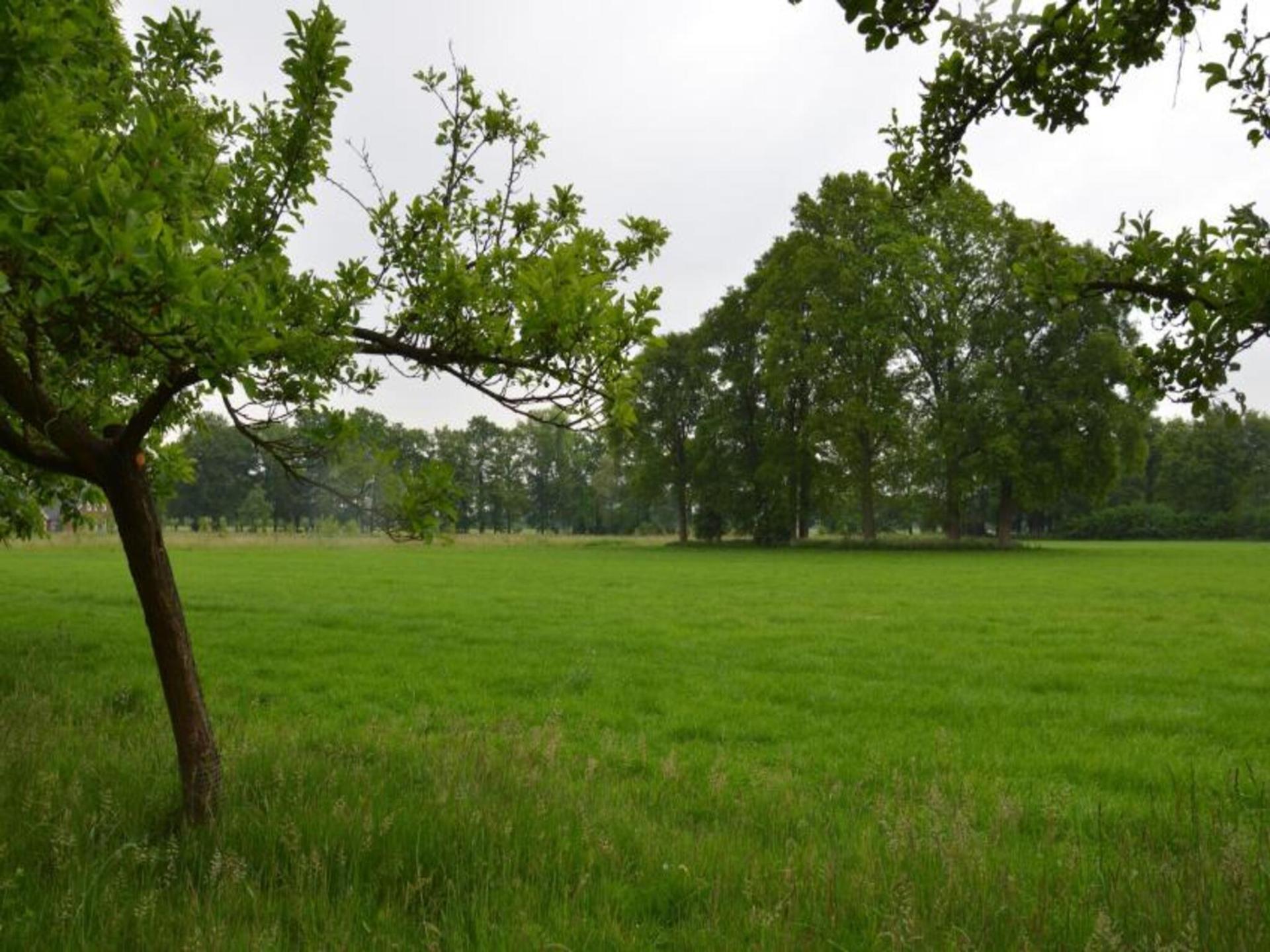 Landelijk vakantiehuis met weids uitzicht in de Achterhoek - foto 14