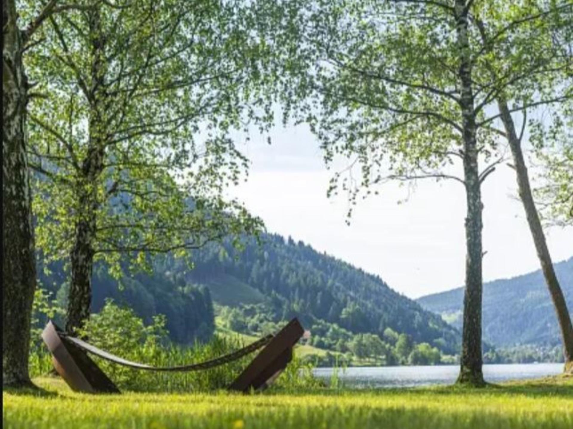 Luxe chalet aan het meer met bergzicht in Kärnten, Oostenrijk - foto 11