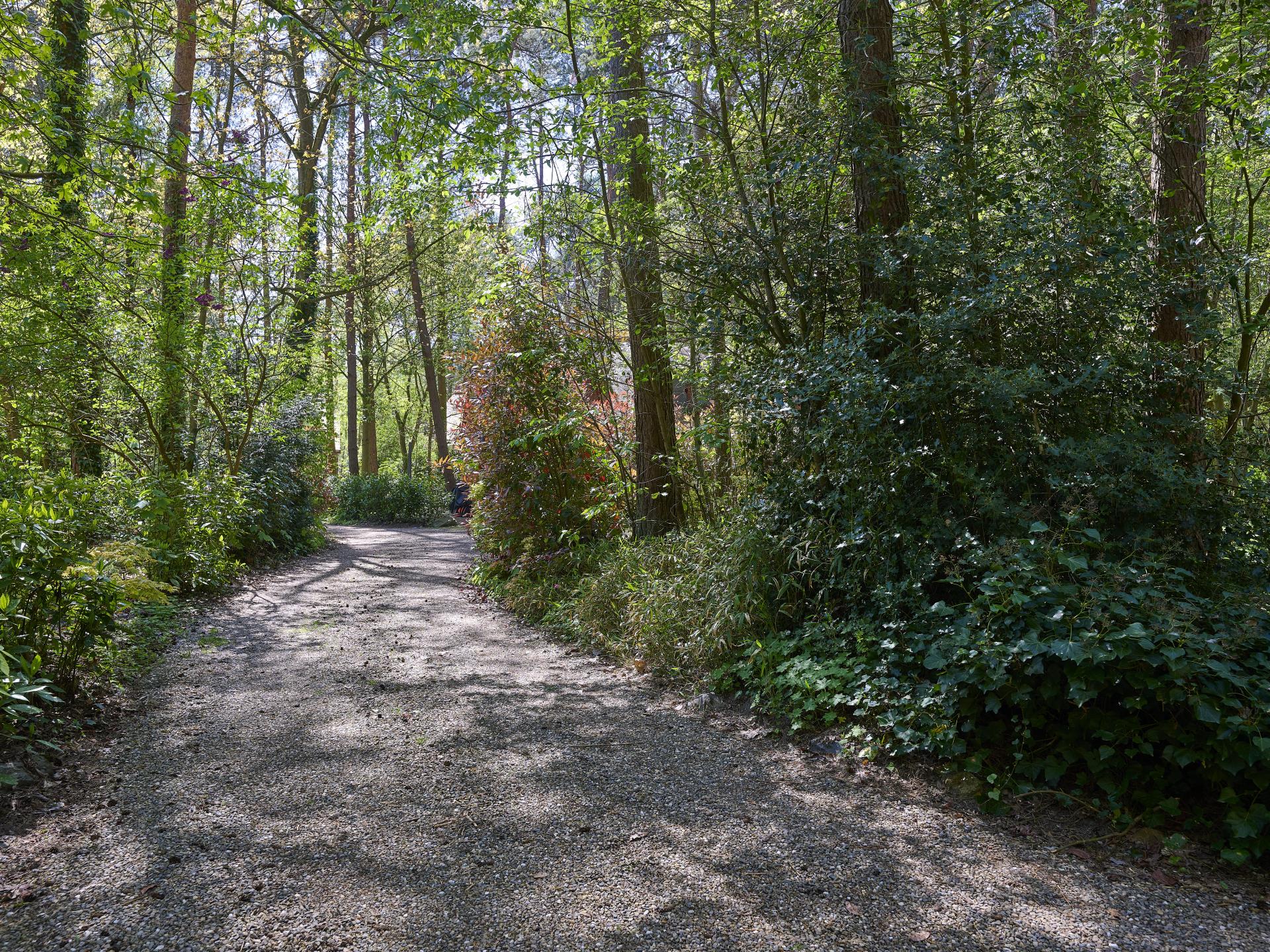 Knus vakantiehuis voor 6 personen in de bossen van Rekem - foto 42