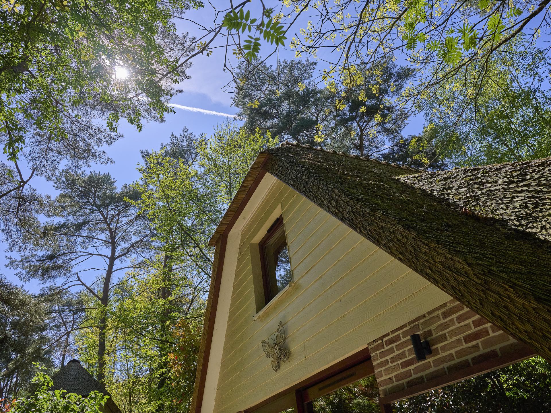 Knus vakantiehuis voor 6 personen in de bossen van Rekem - foto 36