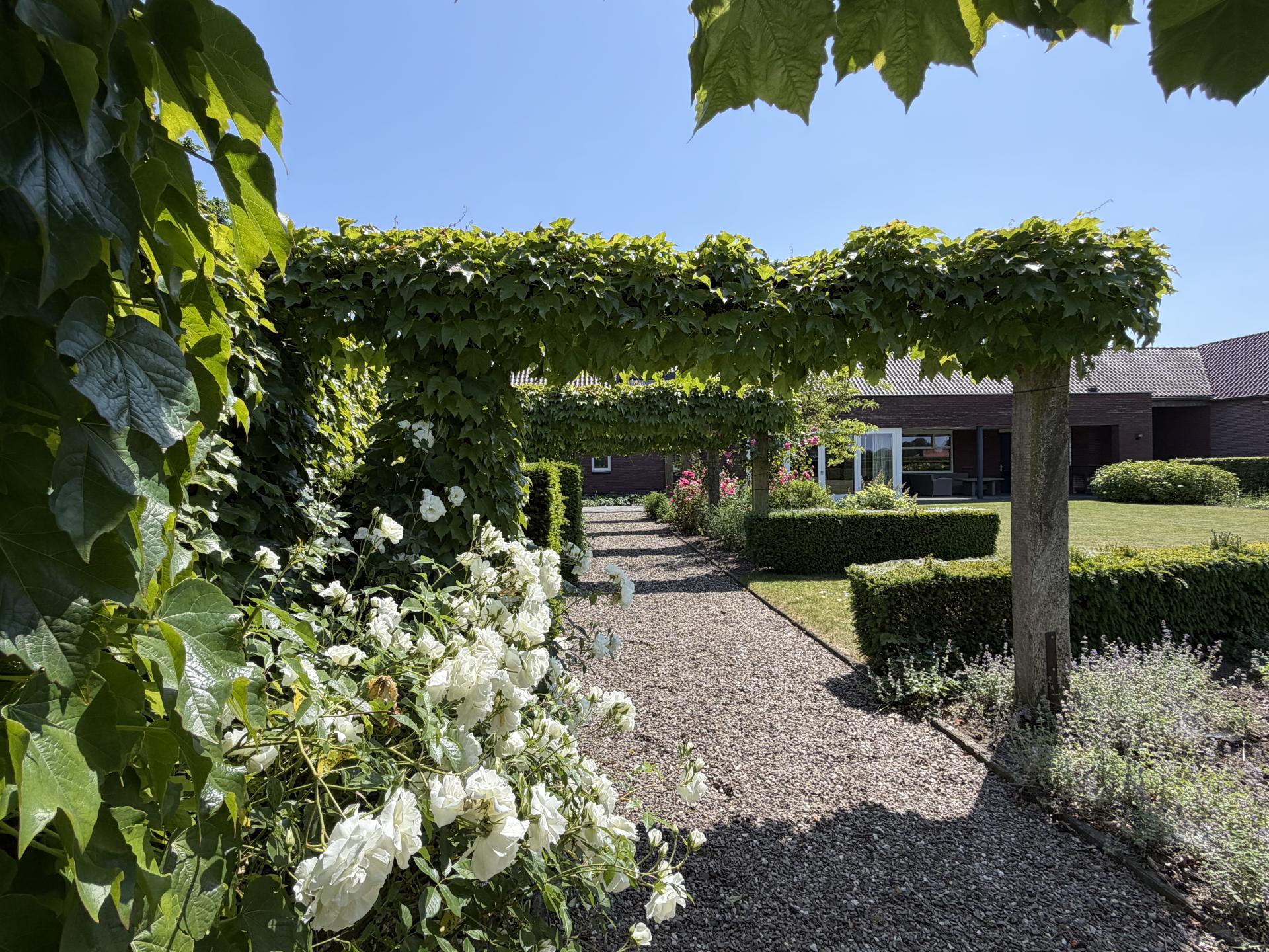 Ruim vrijstaand huis in Nederweert met grote tuin en hottub voor 12 personen - foto 42