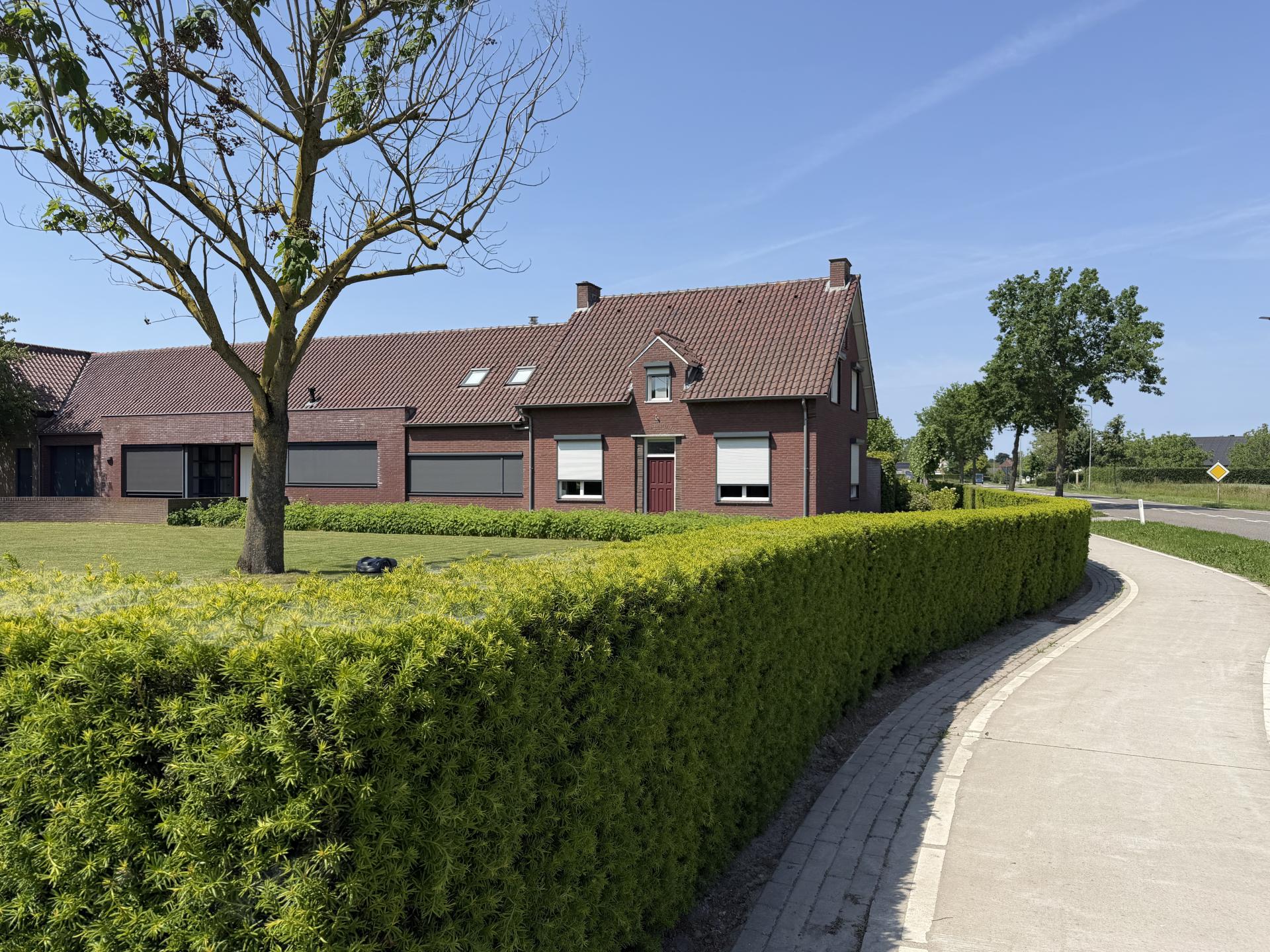 Ruim vrijstaand huis in Nederweert met grote tuin en hottub voor 12 personen - foto 44