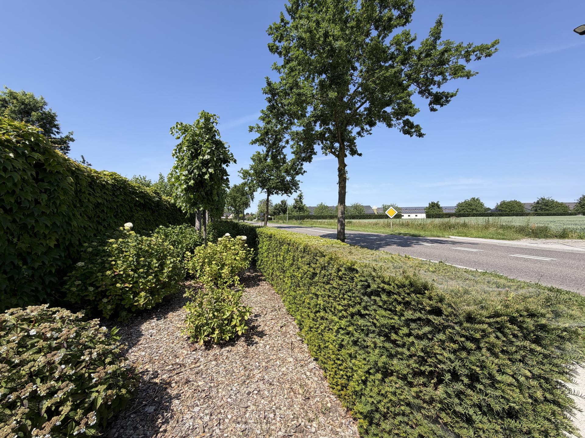 Ruim vrijstaand huis in Nederweert met grote tuin en hottub voor 12 personen - foto 49