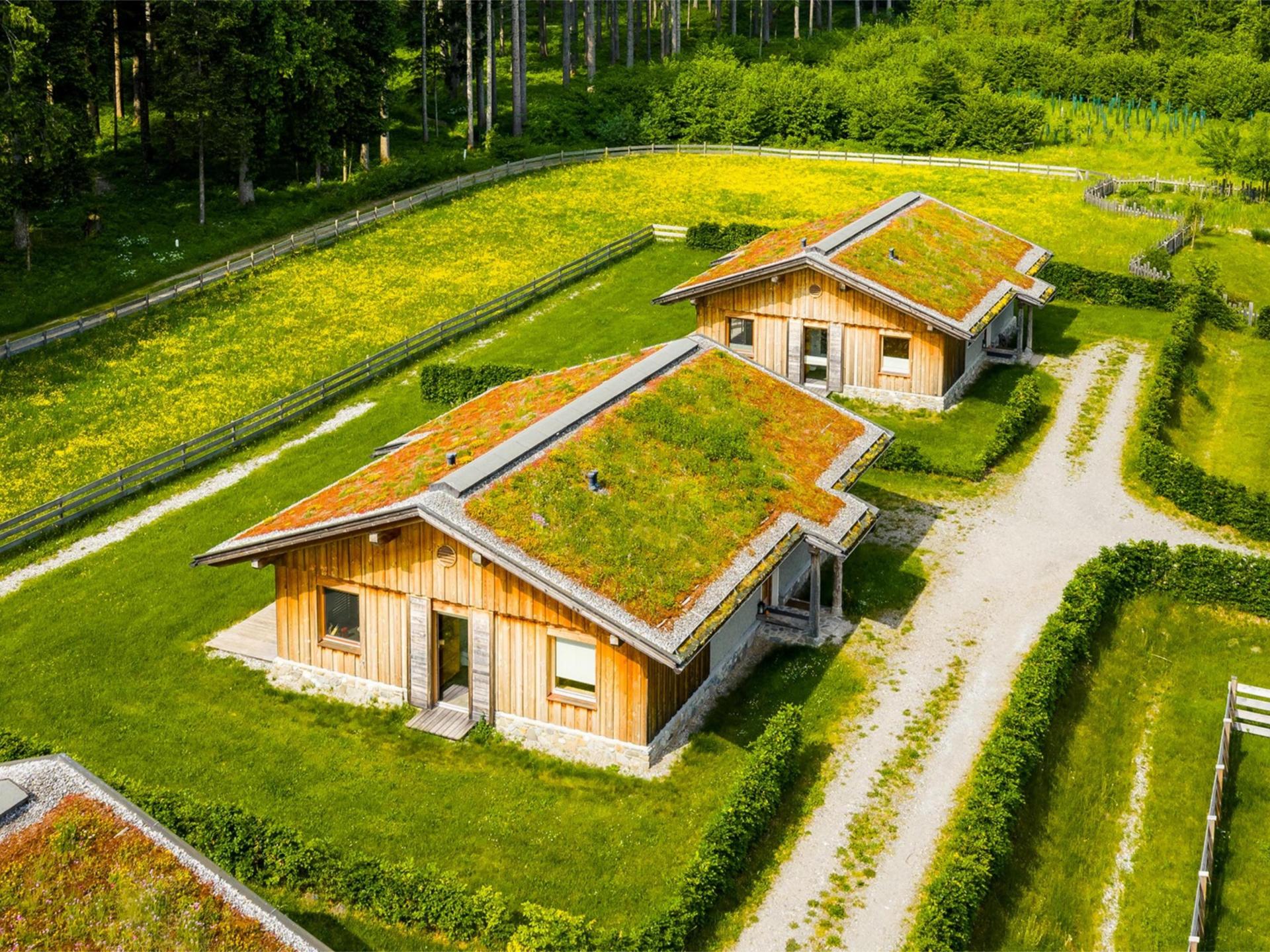 Ruim chalet met Finse sauna aan de rand van het bos bij Hermagor - foto 8