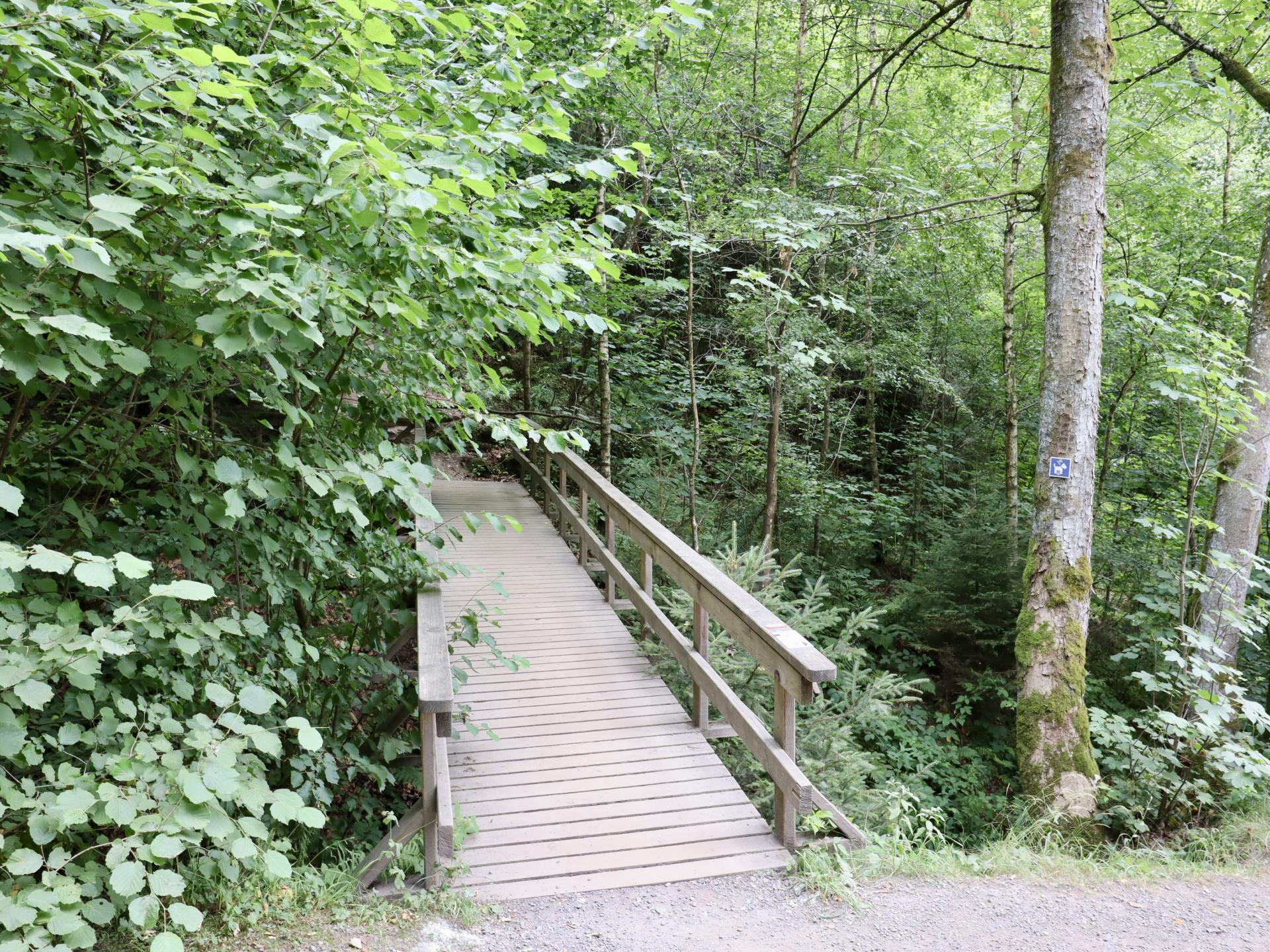 4-persoons vrijstaand chalet in het centrum van Robertville - foto 32
