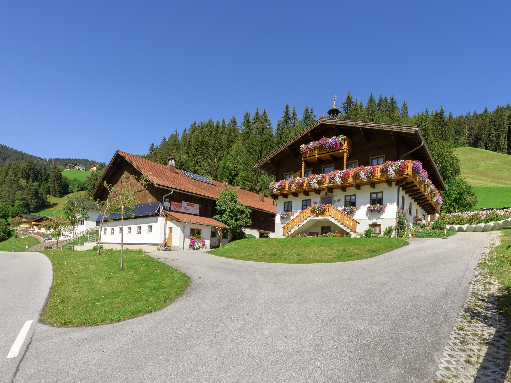 Haus Tanja Salzburgerland