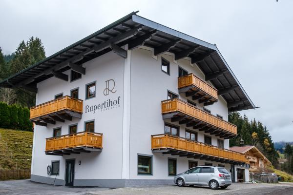 Ruim appartement voor 12 personen direct aan de skipiste in Saalbach - thumbnail 2