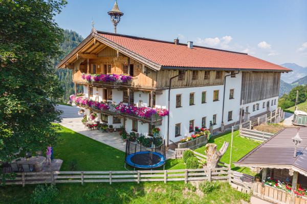 Ruim appartement voor 16 personen met bergzicht in Söll, op 3 km van de piste - thumbnail 1