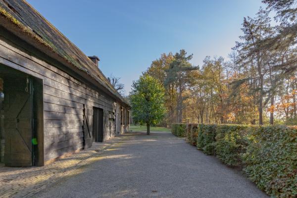 Sfeervolle rietgedekte boerderij voor 16 personen in bosrijk Ulvenhout - thumbnail 5