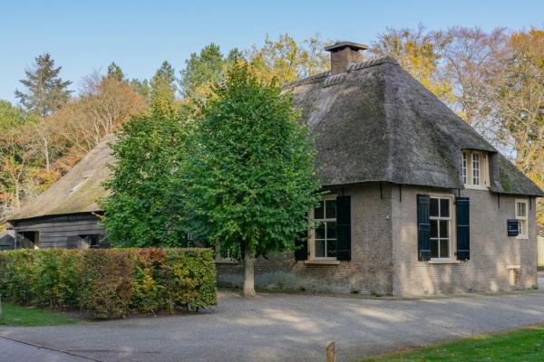 Sfeervolle rietgedekte boerderij voor 16 personen in bosrijk Ulvenhout - thumbnail 1