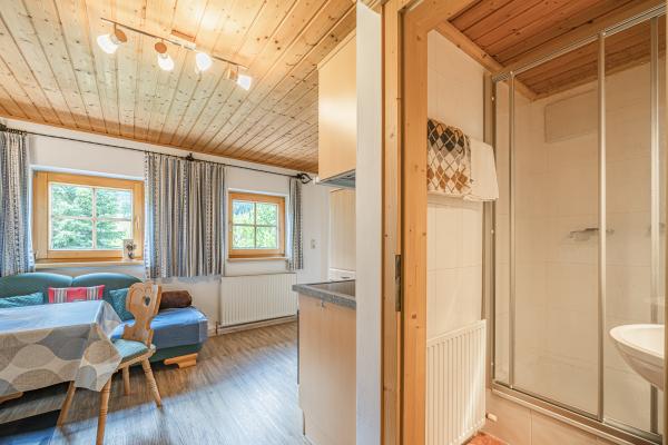 Authentiek appartement op Tiroler boerderij, vlakbij de piste in Brixen im Thale - thumbnail 2