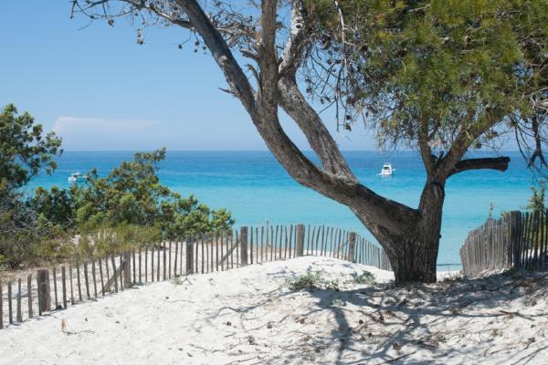 8-persoons vakantiehuis in Oletta op 1,5 km van zee - thumbnail 1