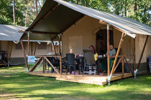 Luxe glampingtent op bosrijk vakantiepark in Vessem, Brabant - thumbnail 3