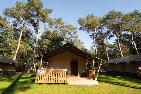 Luxe glampingtent op bosrijk vakantiepark in Vessem, Brabant - thumbnail 2