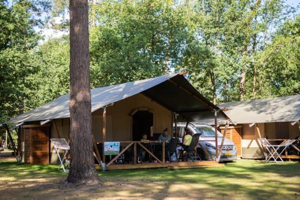 Luxe glampingtent op bosrijk vakantiepark in Vessem, Brabant - thumbnail 1