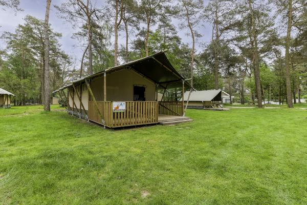 Luxe glamping-tent met privé-sanitair op bosrijke familiecamping in Vessem - thumbnail 2