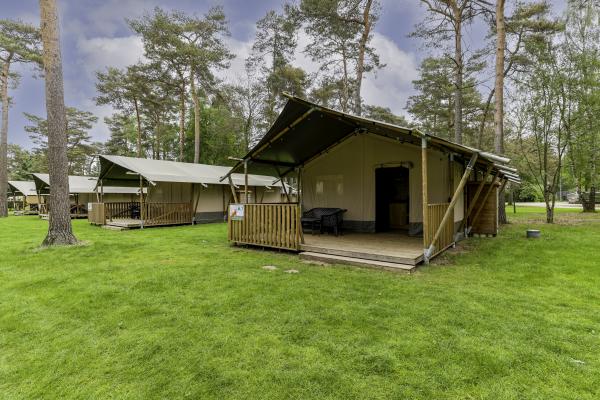 Luxe glamping-tent met privé-sanitair op bosrijke familiecamping in Vessem - thumbnail 1