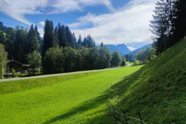 5-persoons modern appartement aan de piste in Kirchberg in Tirol - thumbnail 2
