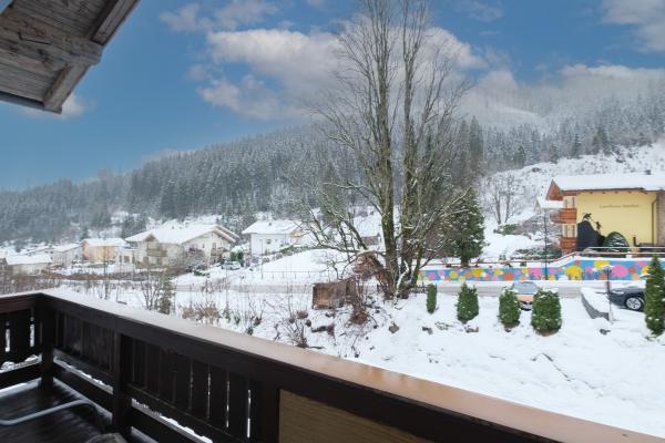 Centraal gelegen appartement aan de piste in Zell am See · 5 pers. - thumbnail 2
