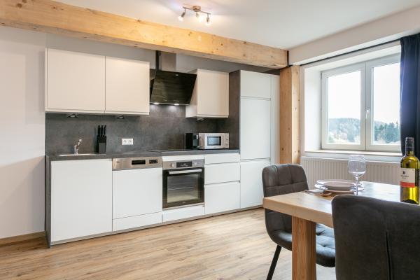 Drie luxe appartementen voor 23 personen in Möderbrugg, tussen Lachtal en Hohentauern - thumbnail 4