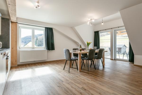 Drie luxe appartementen voor 23 personen in Möderbrugg, tussen Lachtal en Hohentauern - thumbnail 3