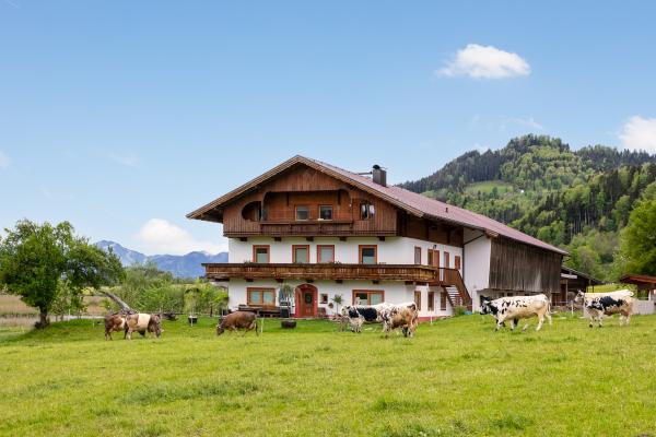 Ruim appartement op idyllische boerderij in Walchsee, vlakbij meer en skilift - thumbnail 2