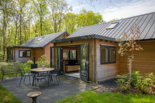 Elegant houten vakantiehuis aan de bosrand in Soesterberg - thumbnail 1